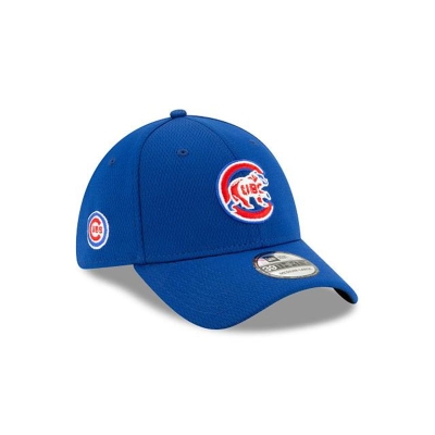 Blue Chicago Cubs Hat - New Era MLB 2021 Spring Training 39THIRTY Stretch Fit Caps USA2617403